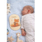 Cartes étapes bébé en bois – Petit renard Cartes étapes bébé en bois – Petit renard